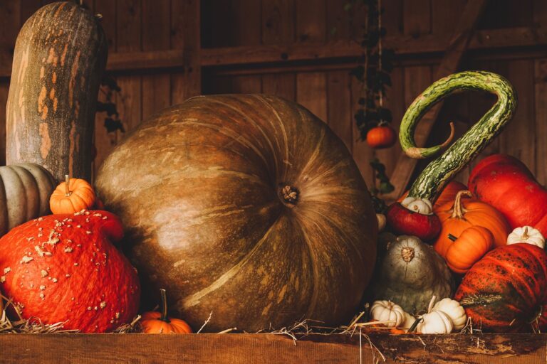 Herfstfair — markt-eten in Ouddorp