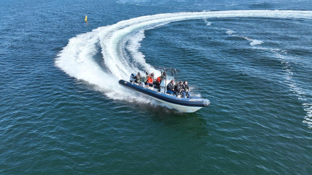 Zeehonden – Safari met RIB – Boot in Ouddorp
