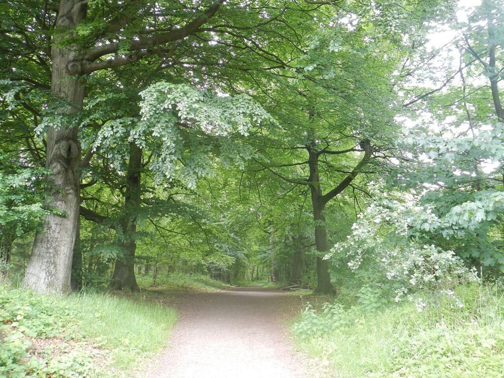 Spooktocht Ouddorp Duin